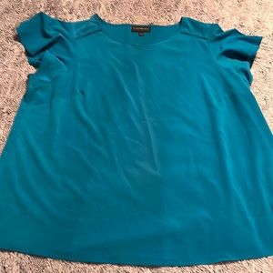 Beautiful Lane Bryant Dress Top